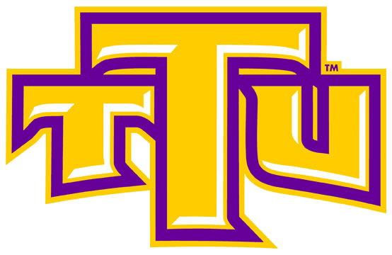 Tennessee Tech Golden Eagles 2006-Pres Alternate Logo v2 DIY iron on transfer (heat transfer)